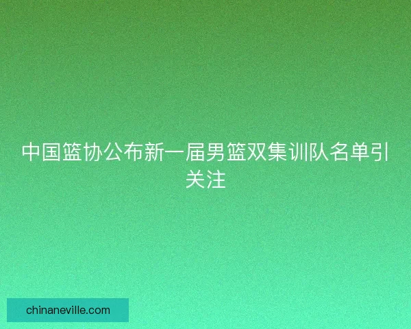 中国篮协公布新一届男篮双集训队名单引关注